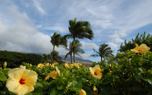 634733 (a): :2560x1600